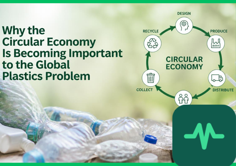Why the Circular Economy Is Becoming Important to the Global Plastics Problem