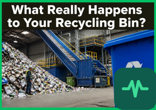 What Really Happens to Your Recycling Bin?