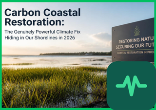 Carbon Coastal Restoration: The Genuinely Powerful Climate Fix Hiding in Our Shorelines in 2026