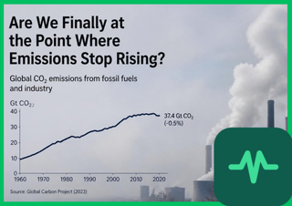 Are We Finally at the Point Where Emissions Stop Rising?